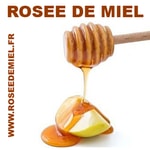 Logo of the podcast Rosee de Miel Podcast Rosee de Miel