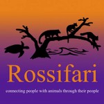 Rossifari Podcast - Zoos, Aquariums, and Animal Conservation Podcast Rossifari Podcast - Zoos, Aquariums, and Animal Conservation