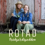 Logo of the podcast ROTAD - trädgårdspodden Podcast ROTAD - trädgårdspodden