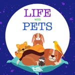 Podcast Ruffle Snuffle Life With Pets