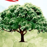 Logo of the podcast Ruha Şifa Muhabbetler Podcast Ruha Şifa Muhabbetler