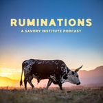 Logo of the podcast Ruminations