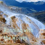 Logo of the podcast Running with the Wolves Podcast Running with the Wolves