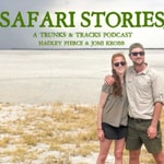 Logo of the podcast Safari Stories Podcast Safari Stories