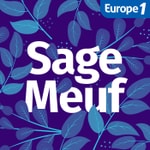 Logo of the podcast Sage-Meuf, le podcast maternité qui vous accompagne pendant la grossesse et après l'accouchement Podcast Sage-Meuf, le podcast maternité qui vous accompagne pendant la grossesse et après l'accouchement