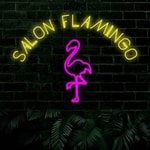 Logo of the podcast Salon Flamingo Podcast Salon Flamingo