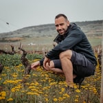 Podcast Sandro's WSET LEVEL 4 Diploma Learning Journey