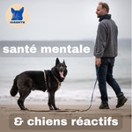 Logo of the podcast santé mentale et chiens réactifs Podcast santé mentale et chiens réactifs
