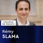 Logo of the podcast Santé publique (2021-2022) - Rémy Slama Podcast Santé publique (2021-2022) - Rémy Slama