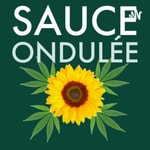 Logo of the podcast Sauce Ondulée Podcast Sauce Ondulée