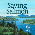 Logo of the podcast Saving Salmon Podcast Saving Salmon