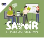 Logo of the podcast Savoir le podcast Vignevin Podcast Savoir le podcast Vignevin