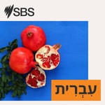 Logo of the podcast SBS Hebrew Podcast SBS Hebrew