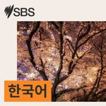 Logo of the podcast SBS Korean - SBS 한국어 프로그램 Podcast SBS Korean - SBS 한국어 프로그램