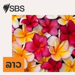Logo of the podcast SBS Lao - SBS ພາສາລາວ Podcast SBS Lao - SBS ພາສາລາວ