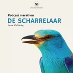 Logo of the podcast Scharrelaar Podcast Scharrelaar
