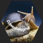 Logo of the podcast Schneckensprint - Der Achatschnecken-Podcast Podcast Schneckensprint - Der Achatschnecken-Podcast