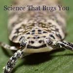 Logo of the podcast Science That Bugs You Podcast Science That Bugs You