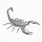 Logo of the podcast Scorpion Podcast Podcast Scorpion Podcast