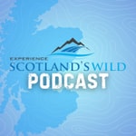 Logo of the podcast Scotland's Wild Podcast Podcast Scotland's Wild Podcast