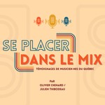 Logo of the podcast Se placer dans le mix Podcast Se placer dans le mix