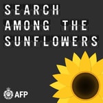 Logo of the podcast Search Among The Sunflowers Podcast Search Among The Sunflowers