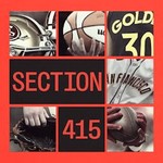 Logo of the podcast Section 415 Podcast Section 415