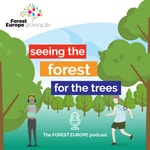 Logo of the podcast Seeing the forest for the trees Podcast Seeing the forest for the trees