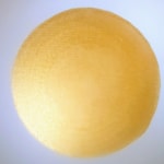 Logo of the podcast Sein - Bewusstsein - Glückseligkeit Podcast Sein - Bewusstsein - Glückseligkeit