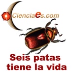 Logo of the podcast Seis patas tiene la vida - Cienciaes.com Podcast Seis patas tiene la vida - Cienciaes.com