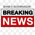 Logo of the podcast Sek News Podcast Sek News