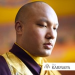 Logo of the podcast Selected Talks on Buddhism and Meditation by the Karmapa Podcast Selected Talks on Buddhism and Meditation by the Karmapa