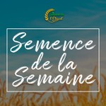 Podcast Semence de la Semaine
