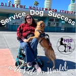 Logo of the podcast Service Dog Success - with Victoria Warfel Podcast Service Dog Success - with Victoria Warfel