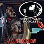 Podcast Setter Tales Podcast