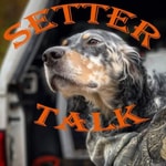 Podcast Setter Talk