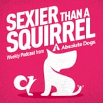Sexier Than A Squirrel: Dog Training That Gets Real Life Results