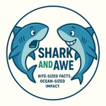 Shark and Awe Podcast Shark and Awe