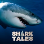 Logo of the podcast Shark Tales Podcast Shark Tales