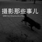 Logo of the podcast 摄影那些事儿 Missing podcast logo