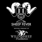 Sheep Fever Podcast Sheep Fever