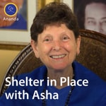 Logo of the podcast Shelter in Place with Asha Podcast Shelter in Place with Asha