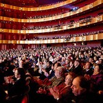 Logo of the podcast Shen Yun Show in Arizona|Phoenix Orpheum Theatre|Mesa Arts Center|Ikeda Theater Podcast Shen Yun Show in Arizona|Phoenix Orpheum Theatre|Mesa Arts Center|Ikeda Theater