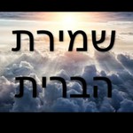 Logo of the podcast שמירת הברית - קדושת העינים Podcast שמירת הברית - קדושת העינים
