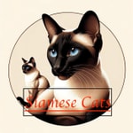 Logo of the podcast Siamese Cats Podcast Siamese Cats
