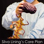 Logo of the podcast Silva Lining‘s Care Plan Podcast Silva Lining‘s Care Plan