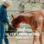 Podcast Silver Lining Herbs Podcast