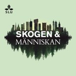 Logo of the podcast Skogen & Människan Podcast Skogen & Människan