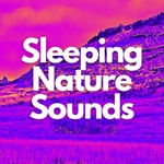 Logo of the podcast Sleeping Nature Sounds Podcast Sleeping Nature Sounds