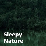 Logo of the podcast Sleepy Nature – Relaxing Nature Sounds for Sleep & Babies Podcast Sleepy Nature – Relaxing Nature Sounds for Sleep & Babies